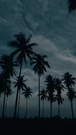 peringatan