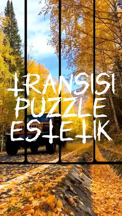 TRANSISI PUZZLE