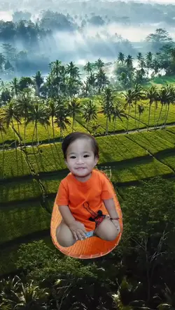 Nature View 