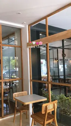 mini vlog