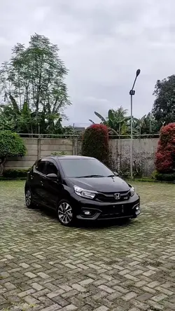 BRIO RS