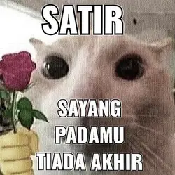 For you {satir}