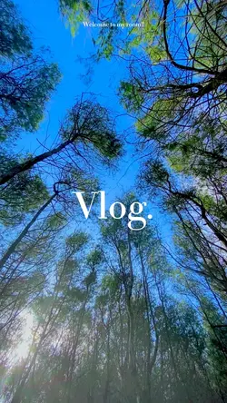 MINI VLOG ASIK✨🍃