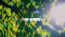 Video Cinematic