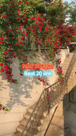 MẫuDuLịch | 20 ảnh
