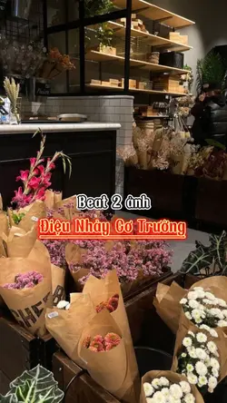 Beat 2 ảnh 🐇