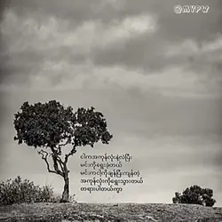 ငှက်//G Fatt