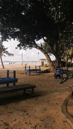 Travel Vlog