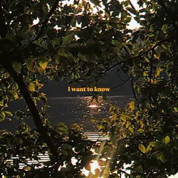 Sunflower | 3vid