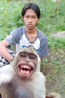 fotbar bareng monyet