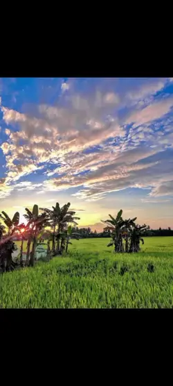 senja pagi