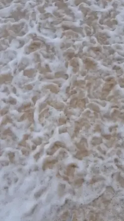 Vidio Estetik