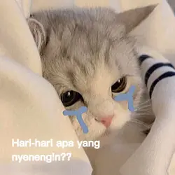 6 foto