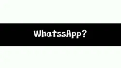SPILL WHATSAPP? 