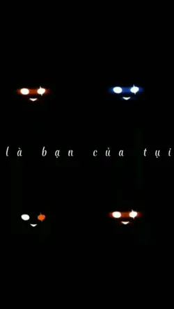 mẫu show đội hình