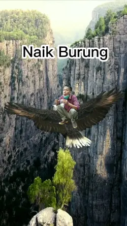 Naik Burung