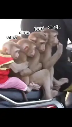 teks bisa di ganti