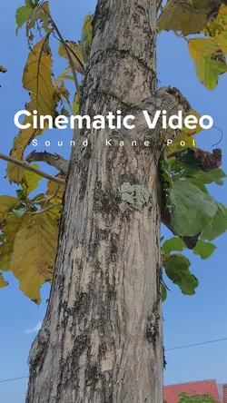Cinematic Filter HD