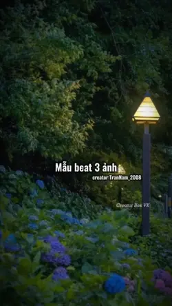 Mẫu beat 3 ảnh