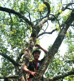 မလုပ်တက်လို့ပါဗျ