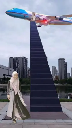 Naik pesawat