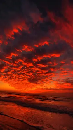 Sunset estetik
