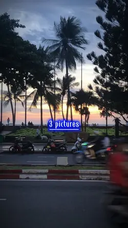 3 pictures 