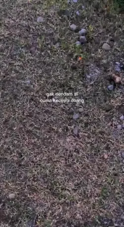 .