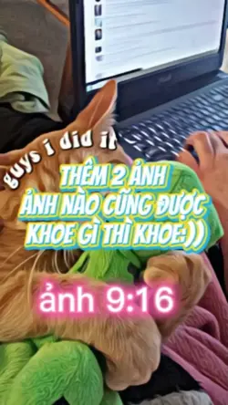 thêm 2 ảnh 