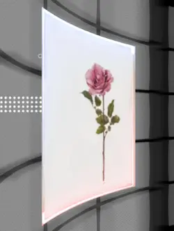 3D Transisi