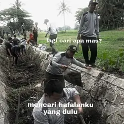 meme halal