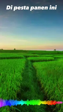 Setangkai Bunga Padi