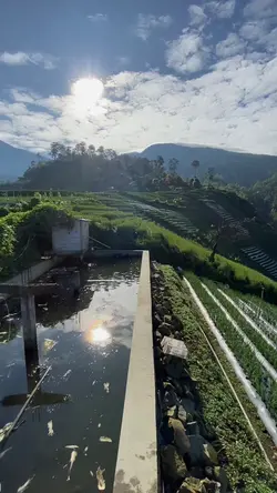 Slowmo Mari Bercinta
