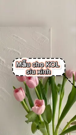 Mẫu 4 sp 