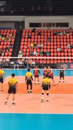 volleyball