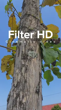 Cinematic Filter HD
