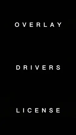 DRIVERS LICENSE 