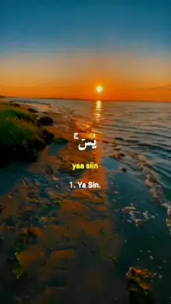 Surah Yasiin ayat1-6