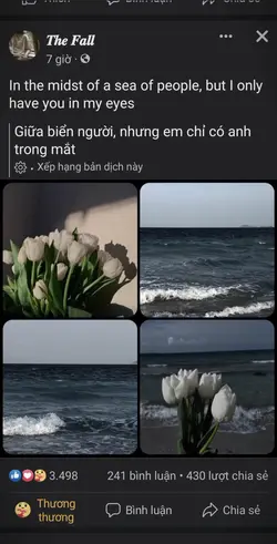 share video 