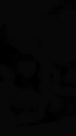 8:33/21