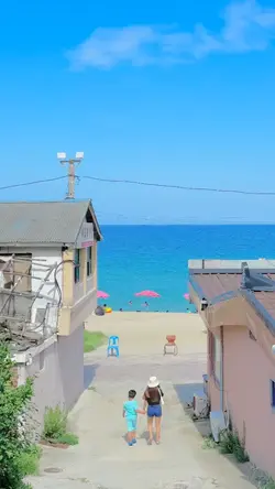 Mini Vlog