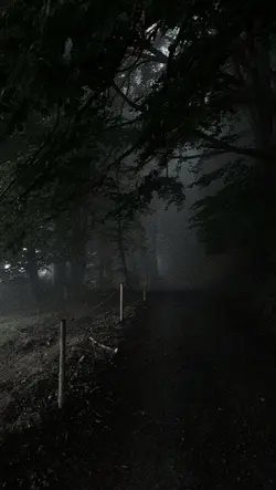 Dark Filter