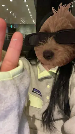 넌 내 삶에 변수 