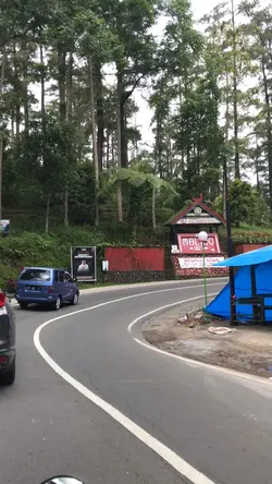 Road trip