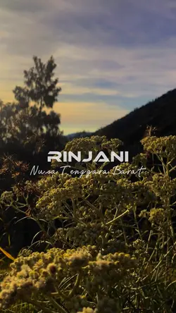 RINJANI