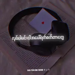 လှည့်စားလိုက် 