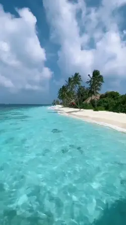 traveling