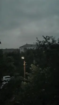 rainy vibes