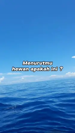 Hewan apakah ini?