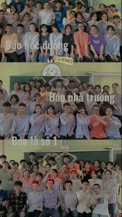 ngày hội 20 tháng 11